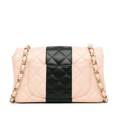 Mini Rectangular Bi-Stripe Classic Lambskin Single Flap_2