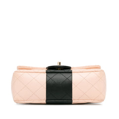 Mini Rectangular Bi-Stripe Classic Lambskin Single Flap_3