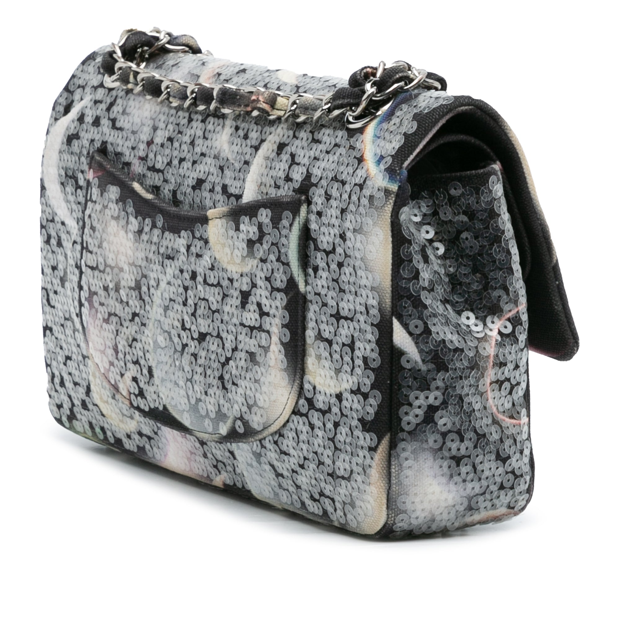 Medium Classic Canvas Sequin Moon Double Flap