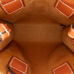 Mini Triomphe Coated Canvas Vertical Cabas Satchel