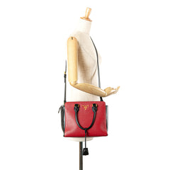 Bicolor Soft Calf Trimmed Saffiano Satchel