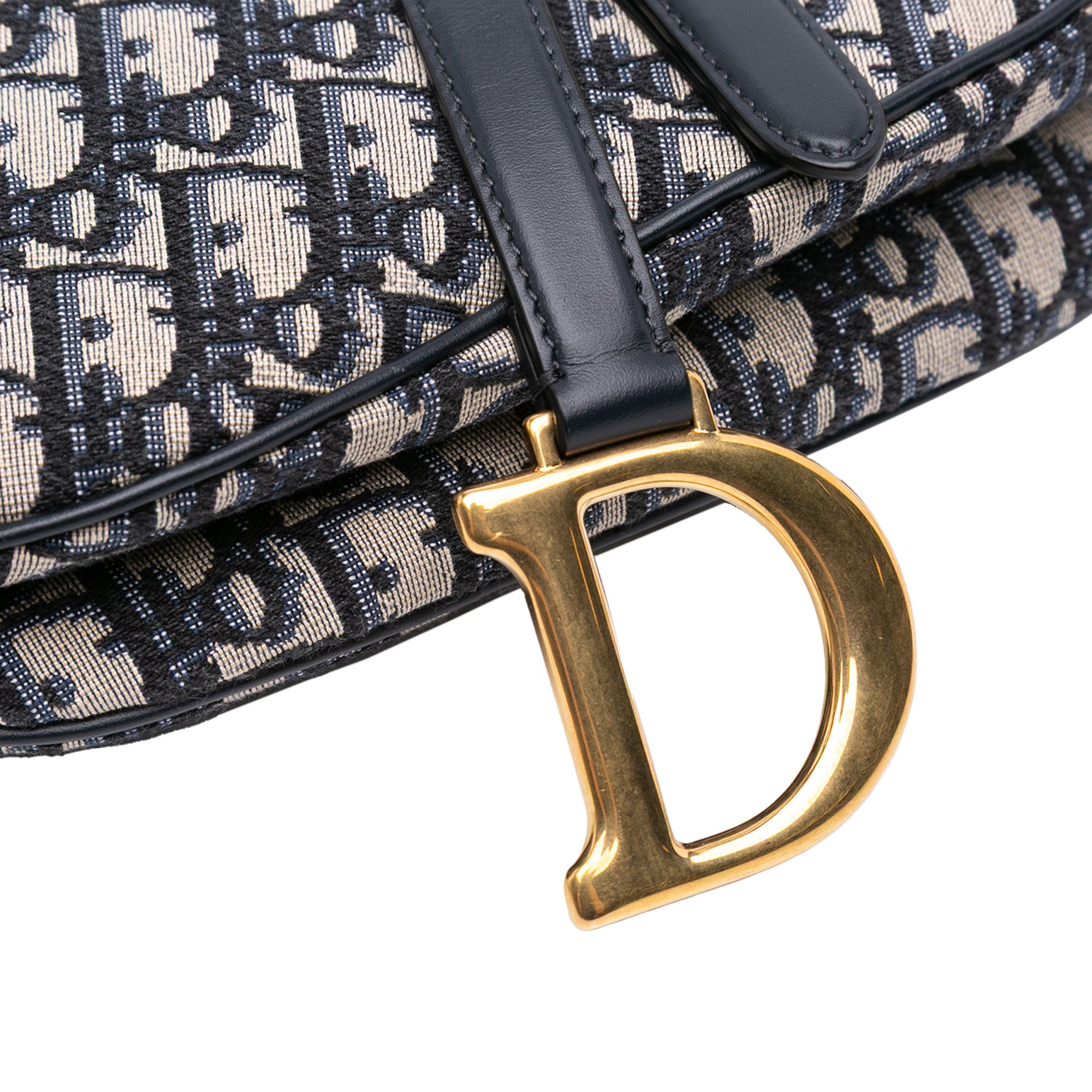Oblique Canvas Saddle Bag