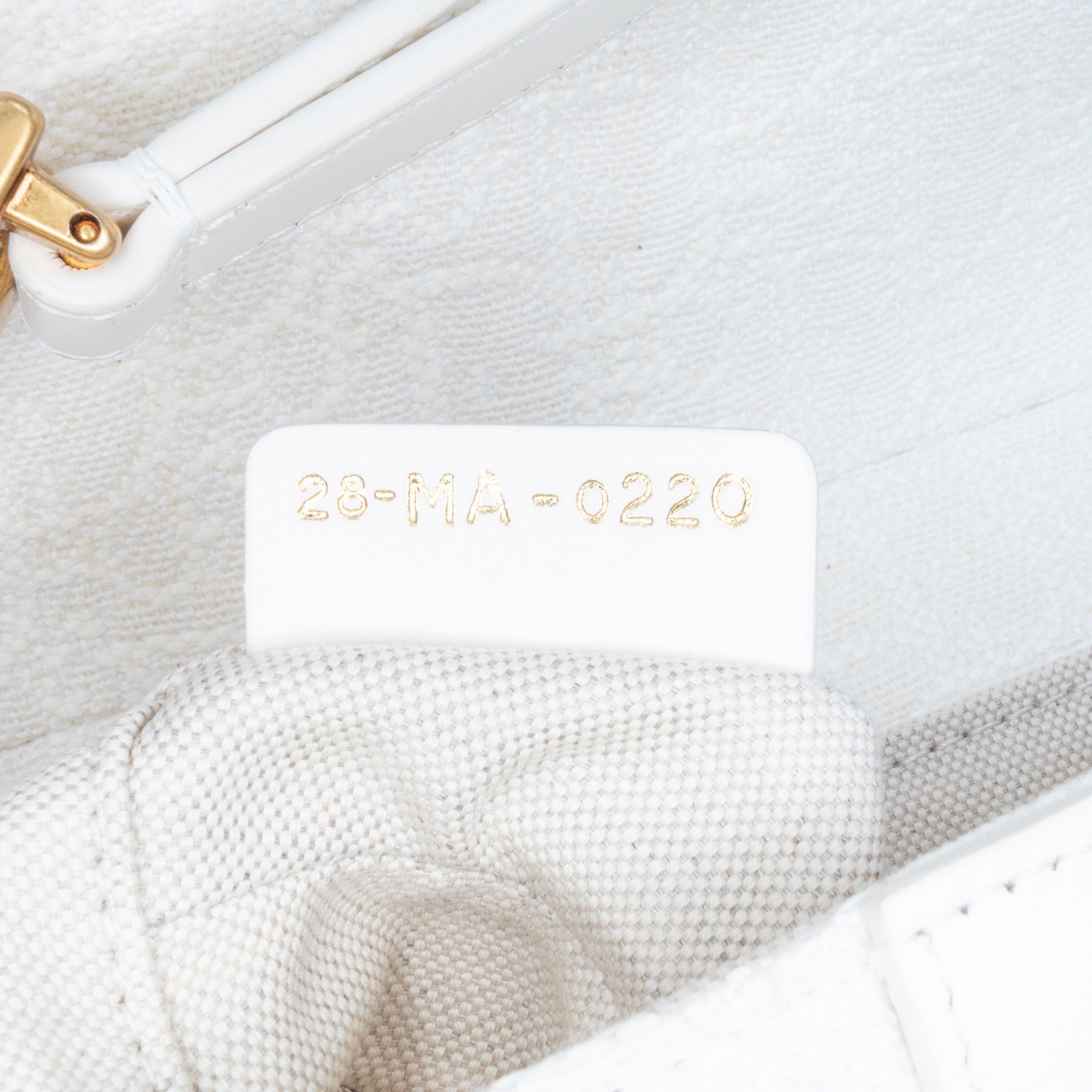 Mini Oblique Canvas Saddle Bag