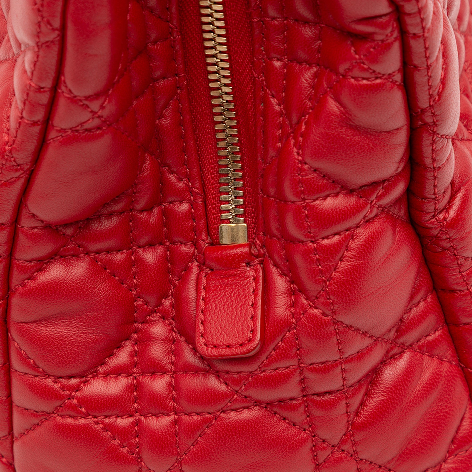 Medium Lambskin Cannage Lady Dior Soft Shopping Tote