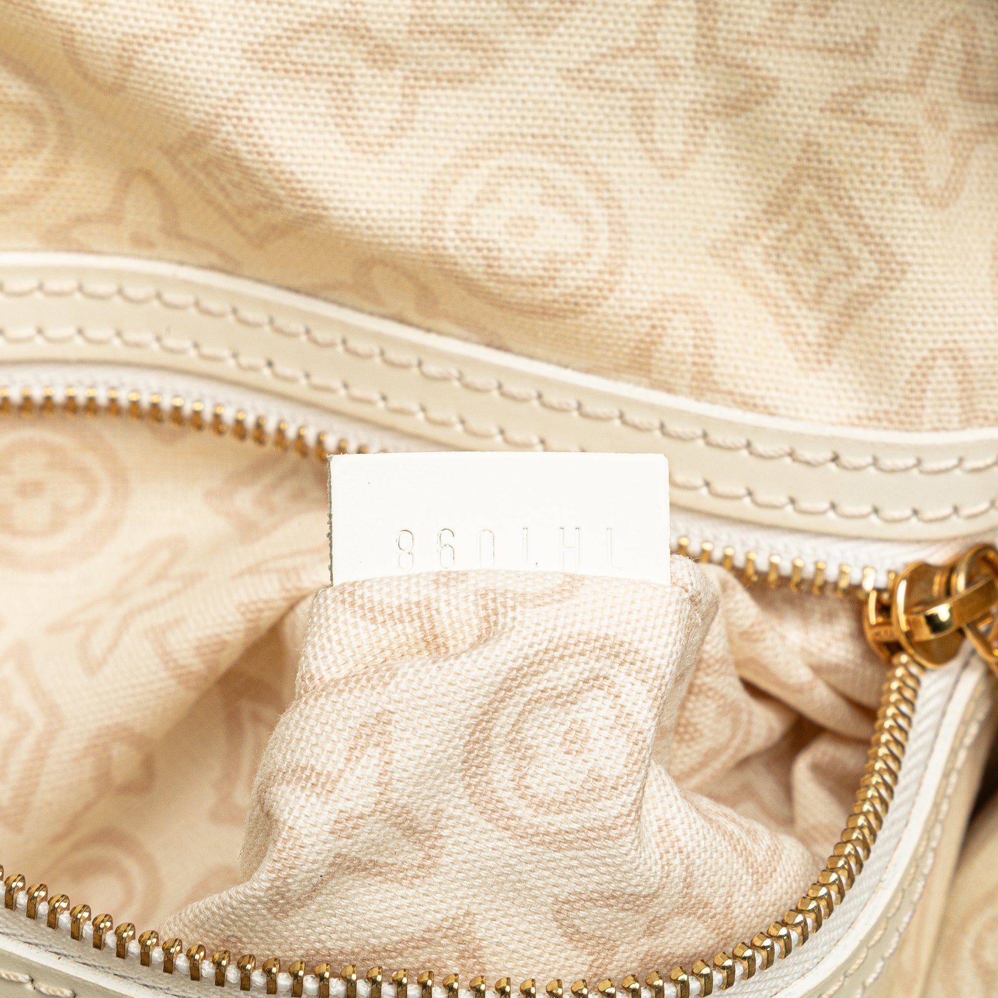 Monogram Tahitienne Cabas PM