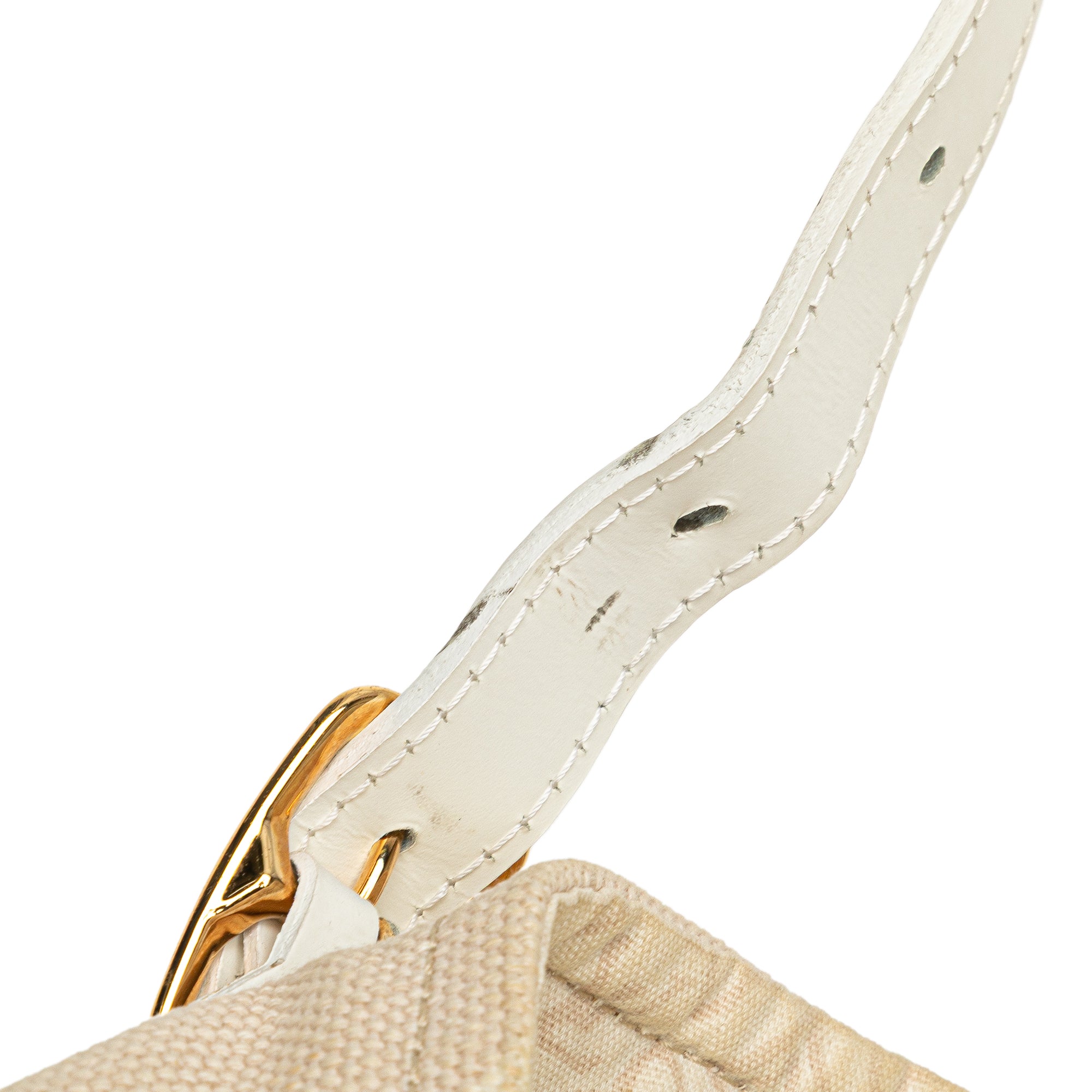 Monogram Tahitienne Cabas PM