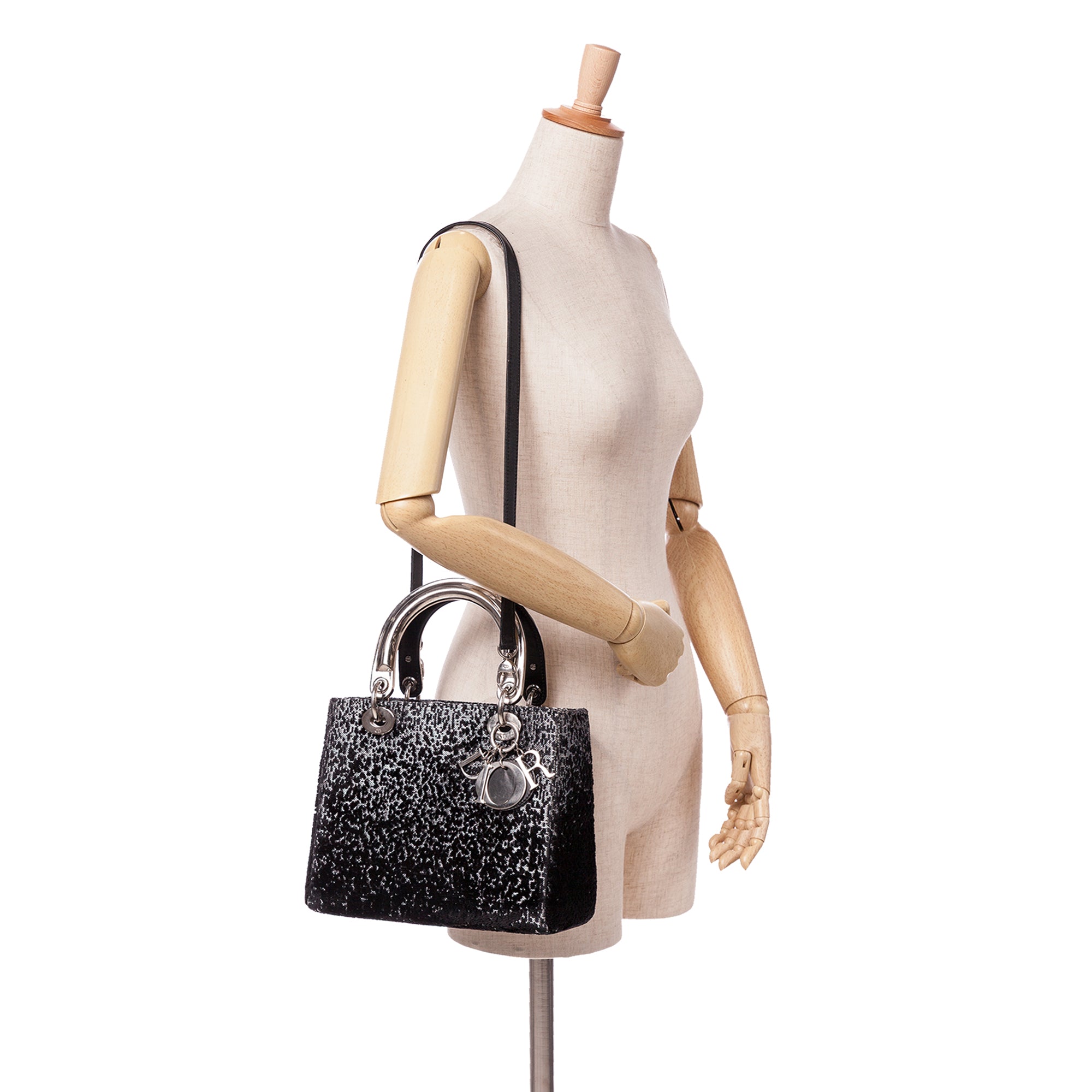 Medium Fabric Lame Lady Dior