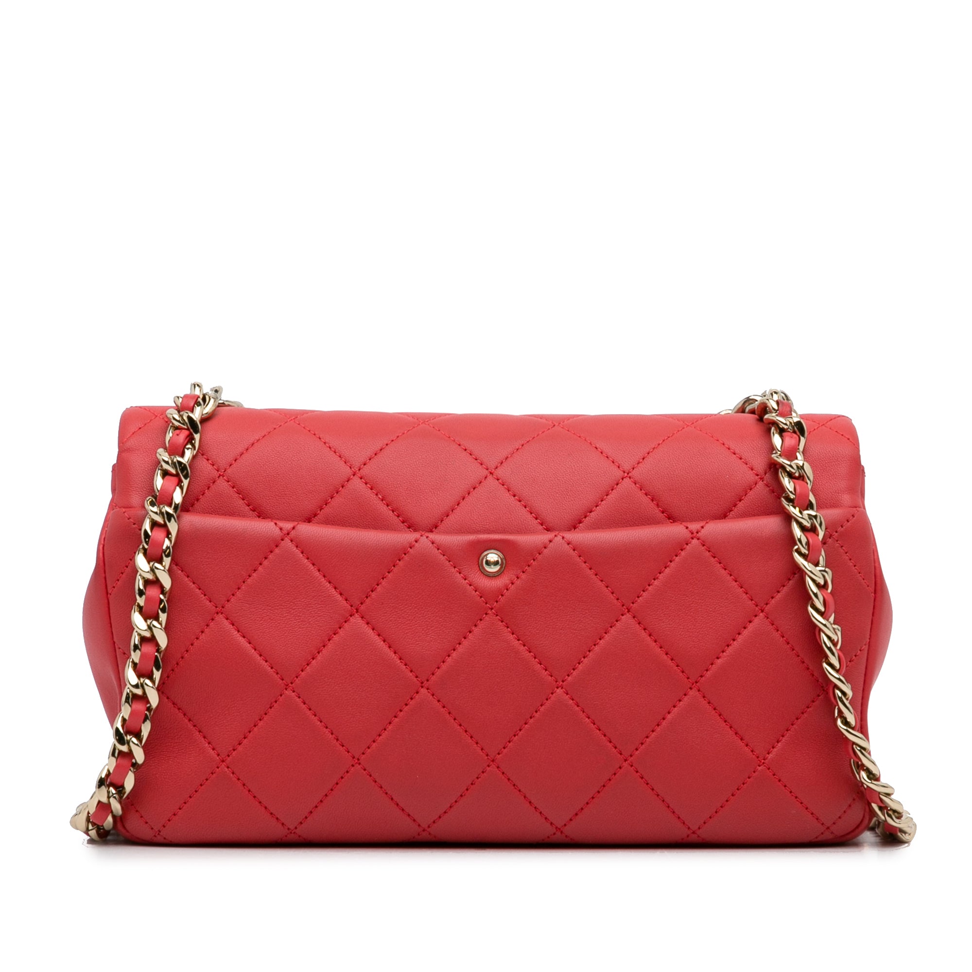 Small Lambskin Elegant Chain Single Flap_3