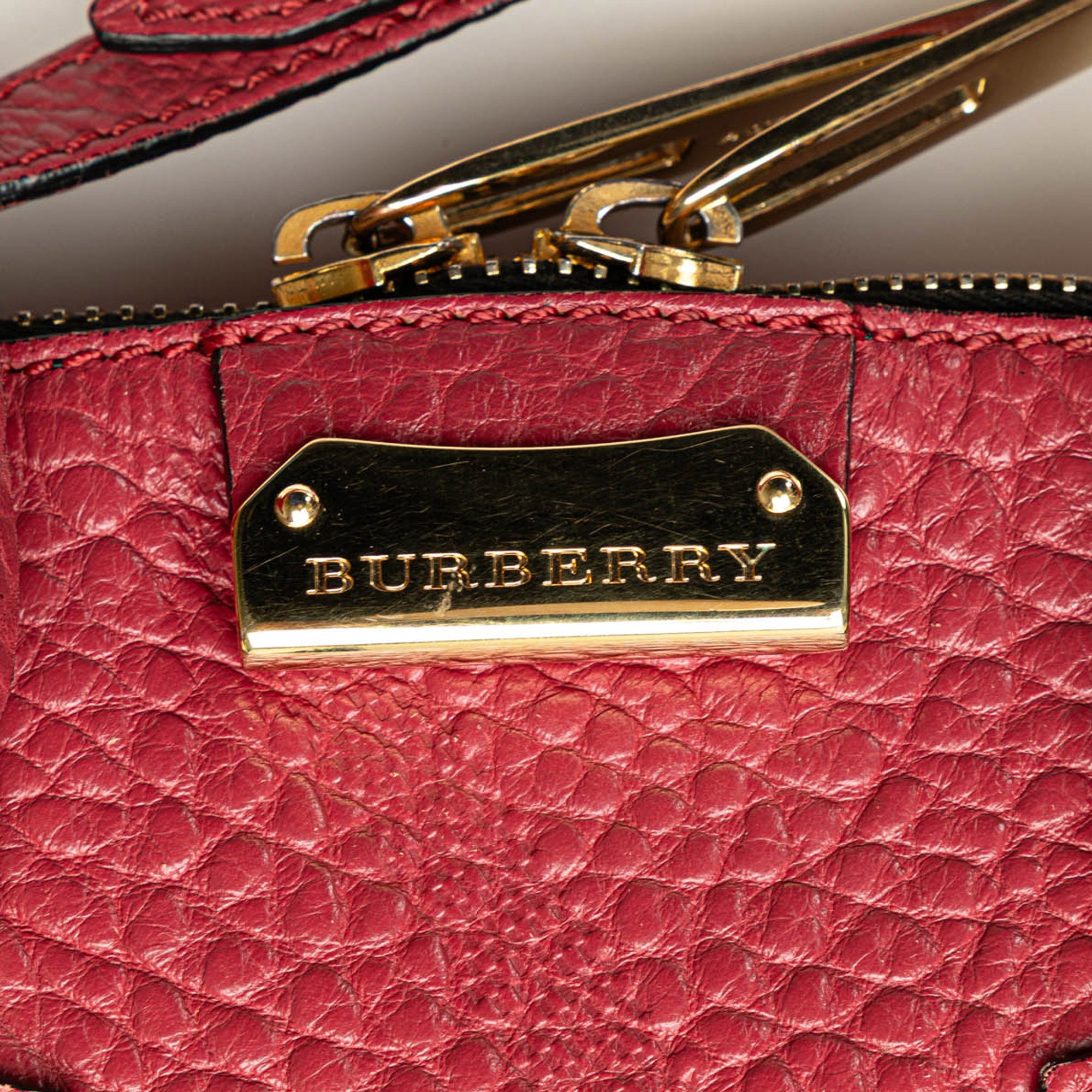 Orchard Embossed Leather Satchel