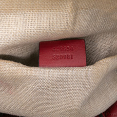 Mini Microguccissima Dome Satchel