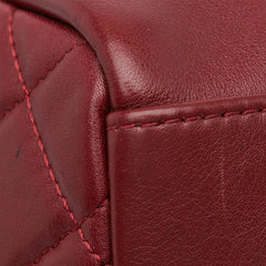 Small Quilted Lambskin Buckle Camera Bag_8