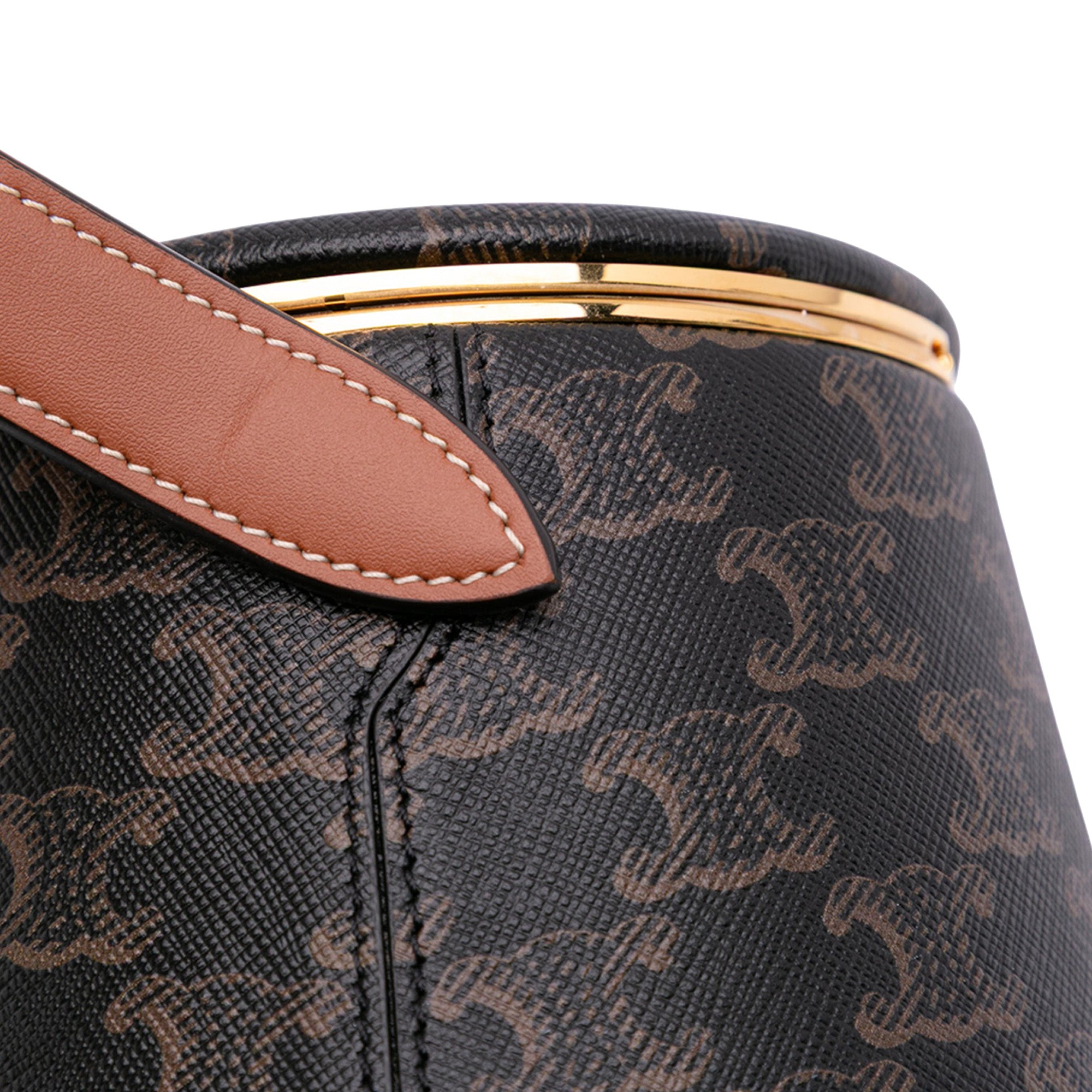 Triomphe Coated Canvas Triomphe Nina Minaudiere Bag