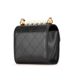 Mini Goatskin Chic Pearls Clutch On Chain