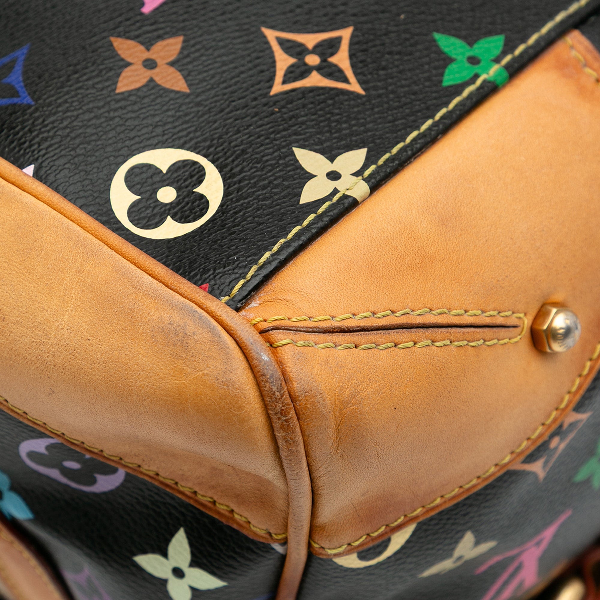 Monogram Multicolore Claudia