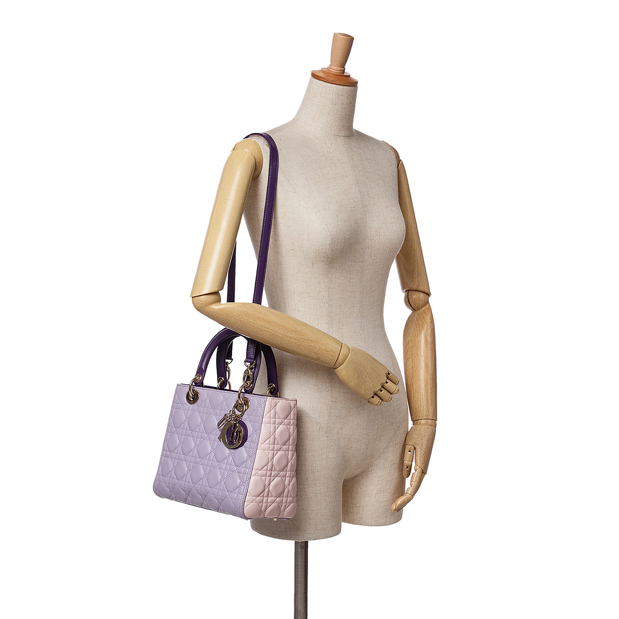 Medium Tricolor Lambskin Cannage Lady Dior