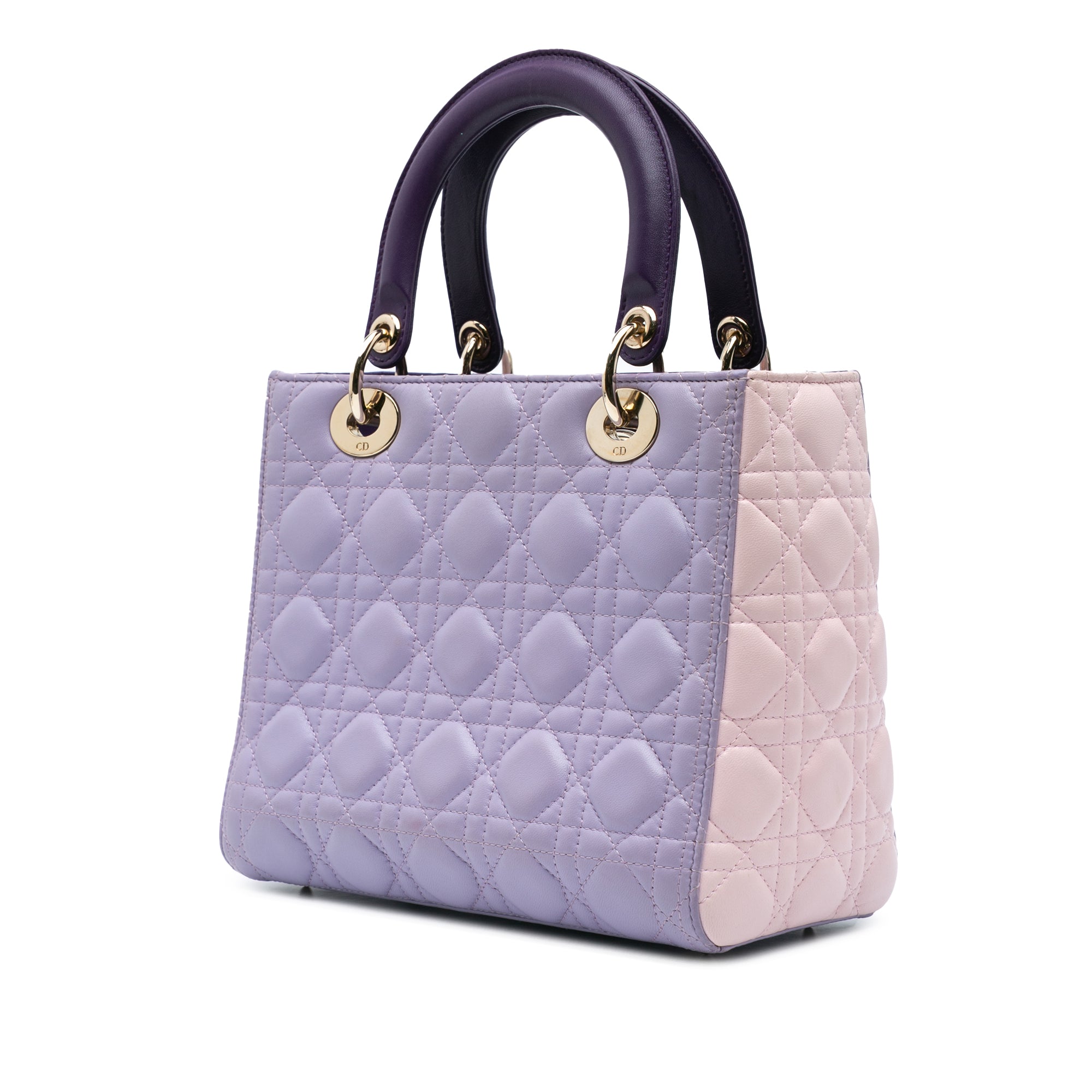 Medium Tricolor Lambskin Cannage Lady Dior