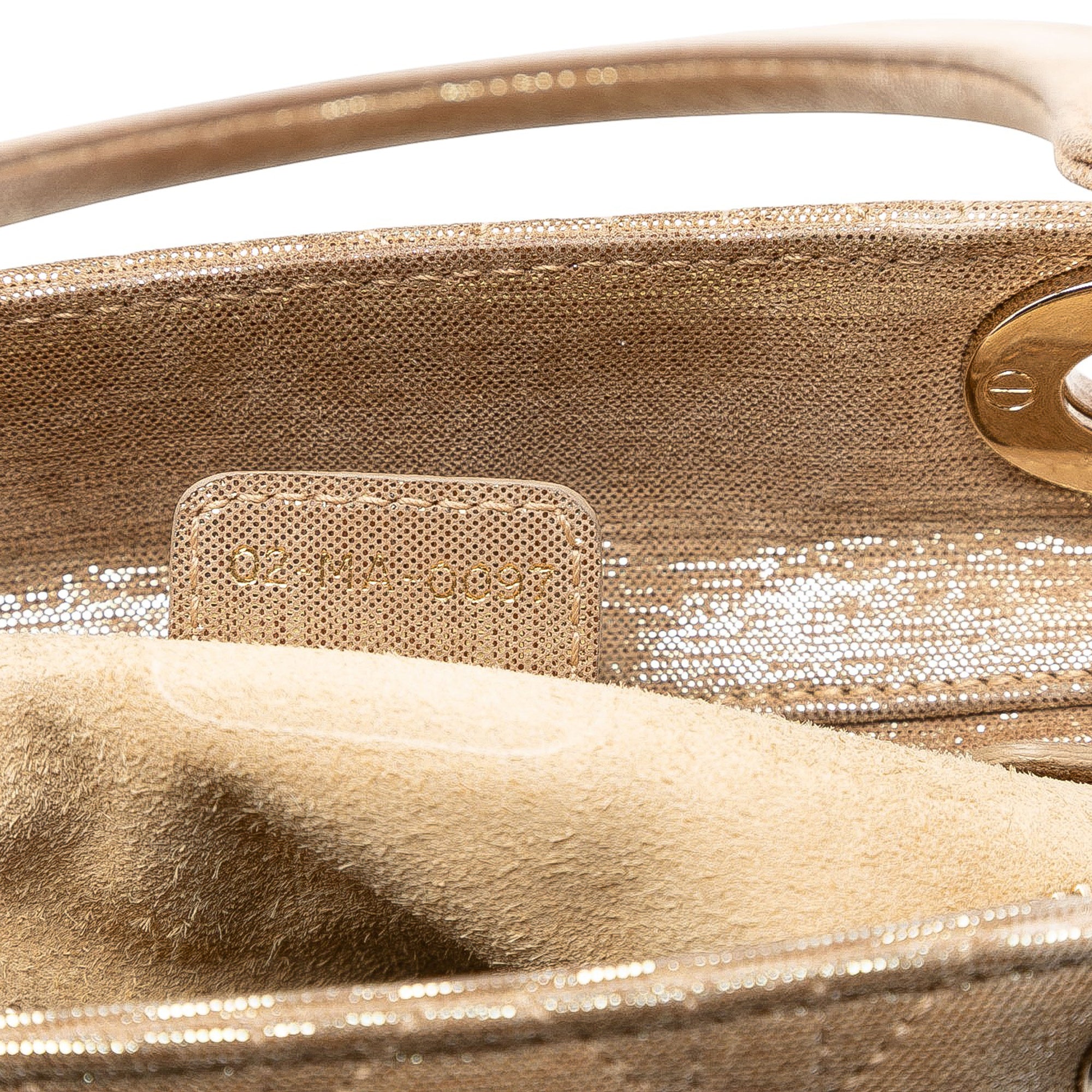 Medium Iridescent Lambskin Cannage Lady Dior