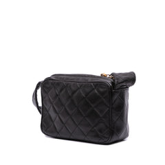 Mini Quilted Lambskin Camera Crossbody