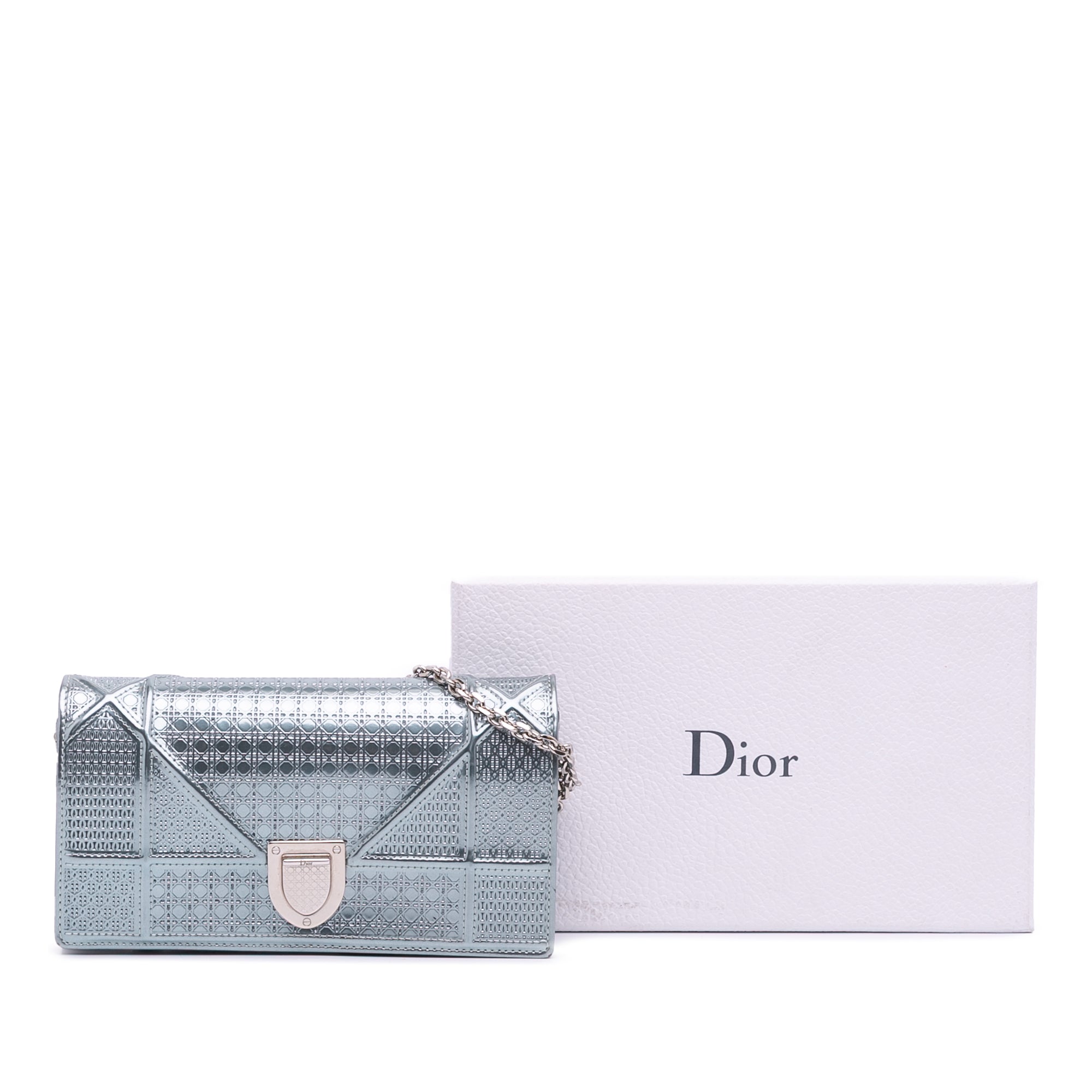 Metallic Patent Microcannage Diorama Wallet on Chain