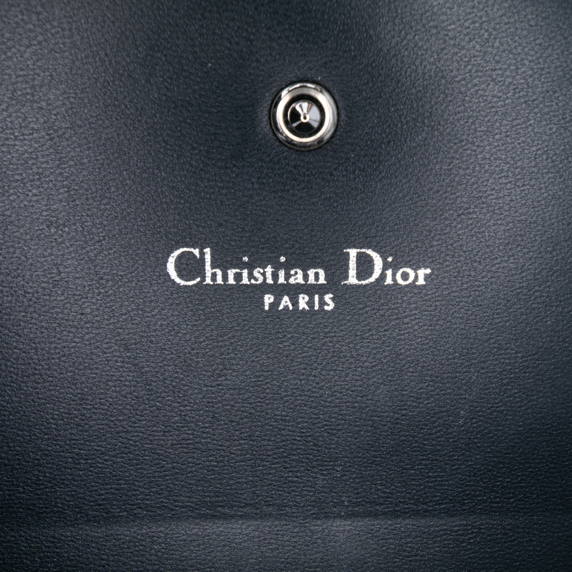 Metallic Patent Microcannage Diorama Wallet on Chain