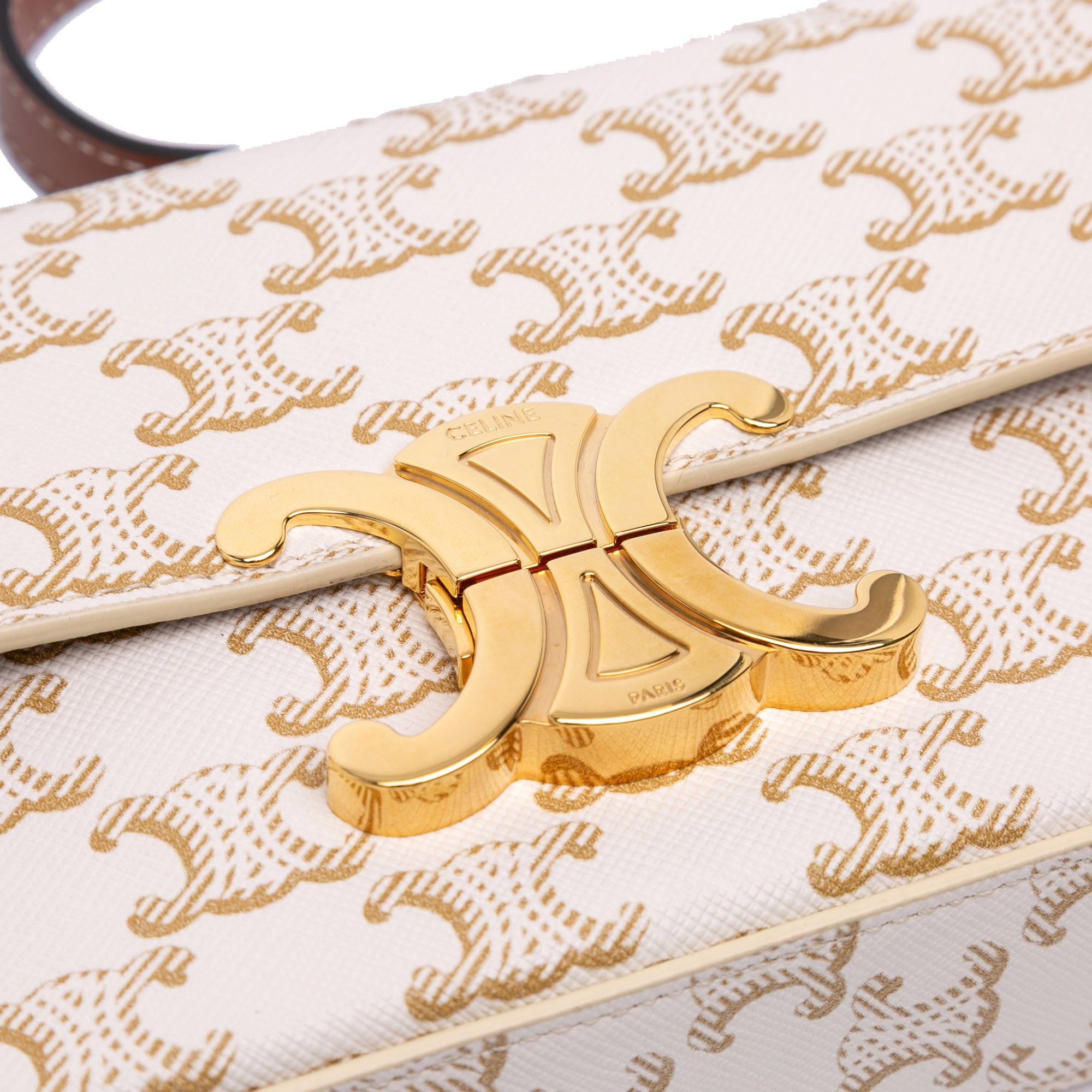 Triomphe Coated Canvas Claude Shoulder Bag