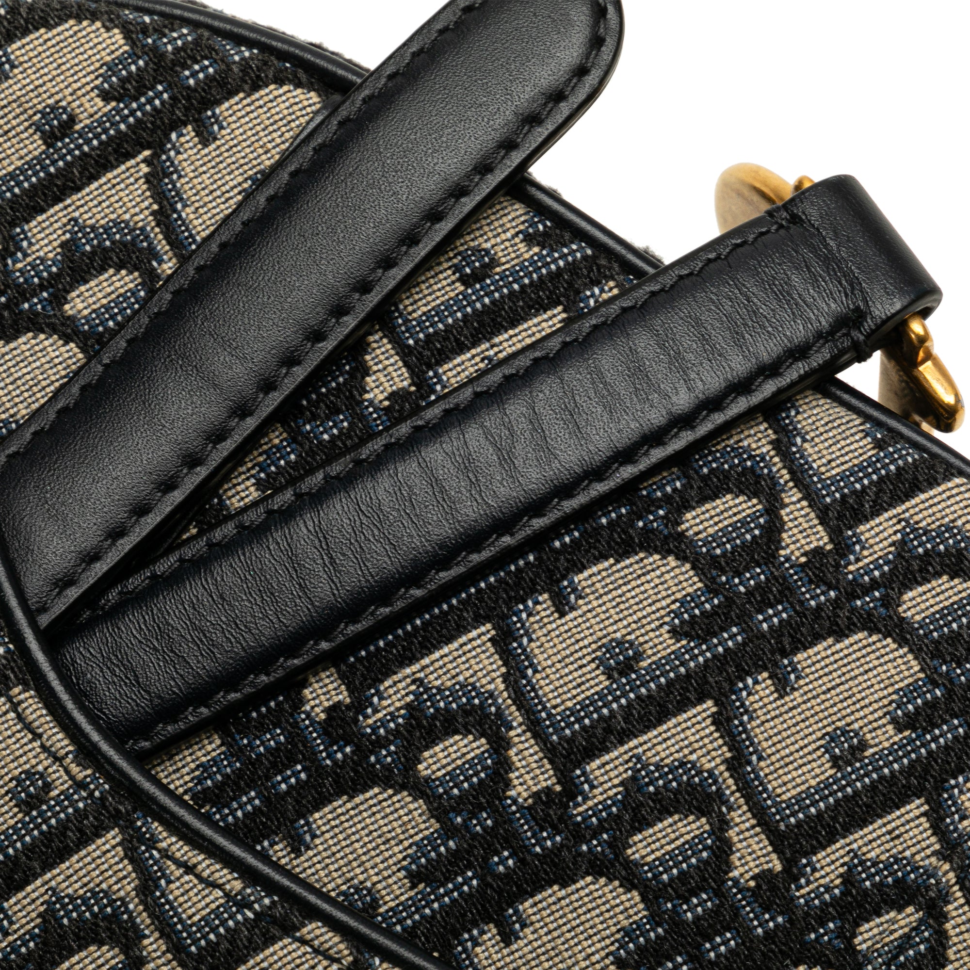Mini Oblique Canvas Saddle Bag