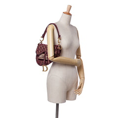 Oblique Embroidered Velvet Saddle Bag
