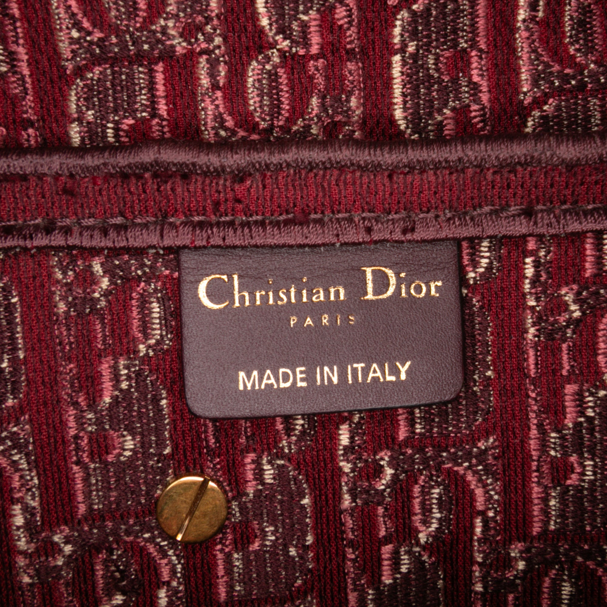 Oblique Embroidered Velvet Saddle Bag