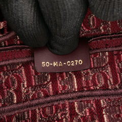 Oblique Embroidered Velvet Saddle Bag
