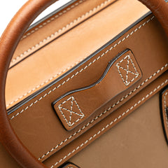 Nano Tricolor Leather Luggage Tote