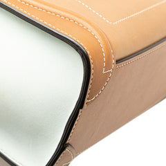 Nano Tricolor Leather Luggage Tote