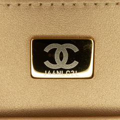 Golden Plate Vanity Case