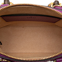 Mini Dollar Calfskin Bamboo Diana Dome Satchel