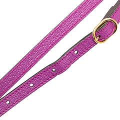 Mini Dollar Calfskin Bamboo Diana Dome Satchel