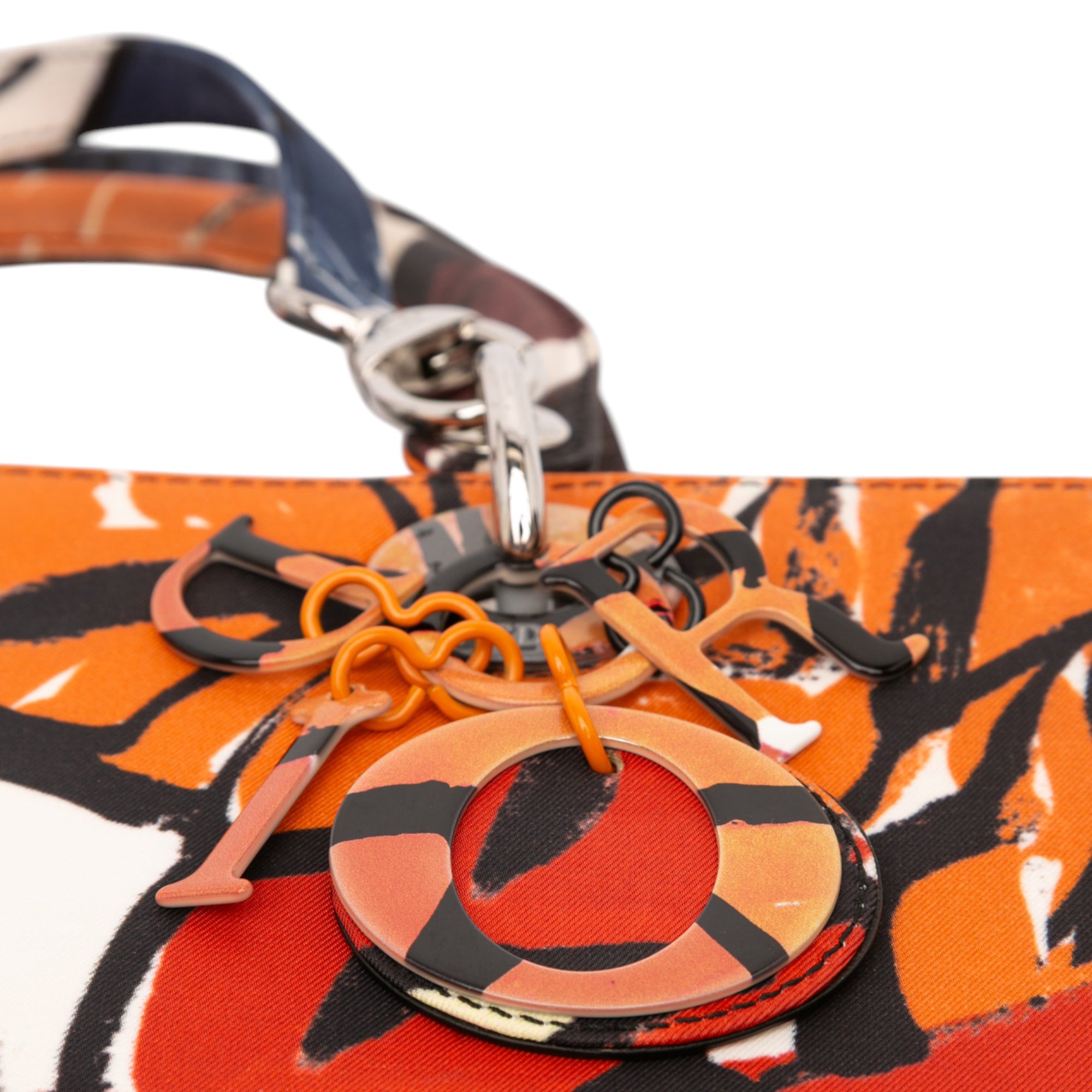 Large Canvas Floral Graffiti Lady Dior
