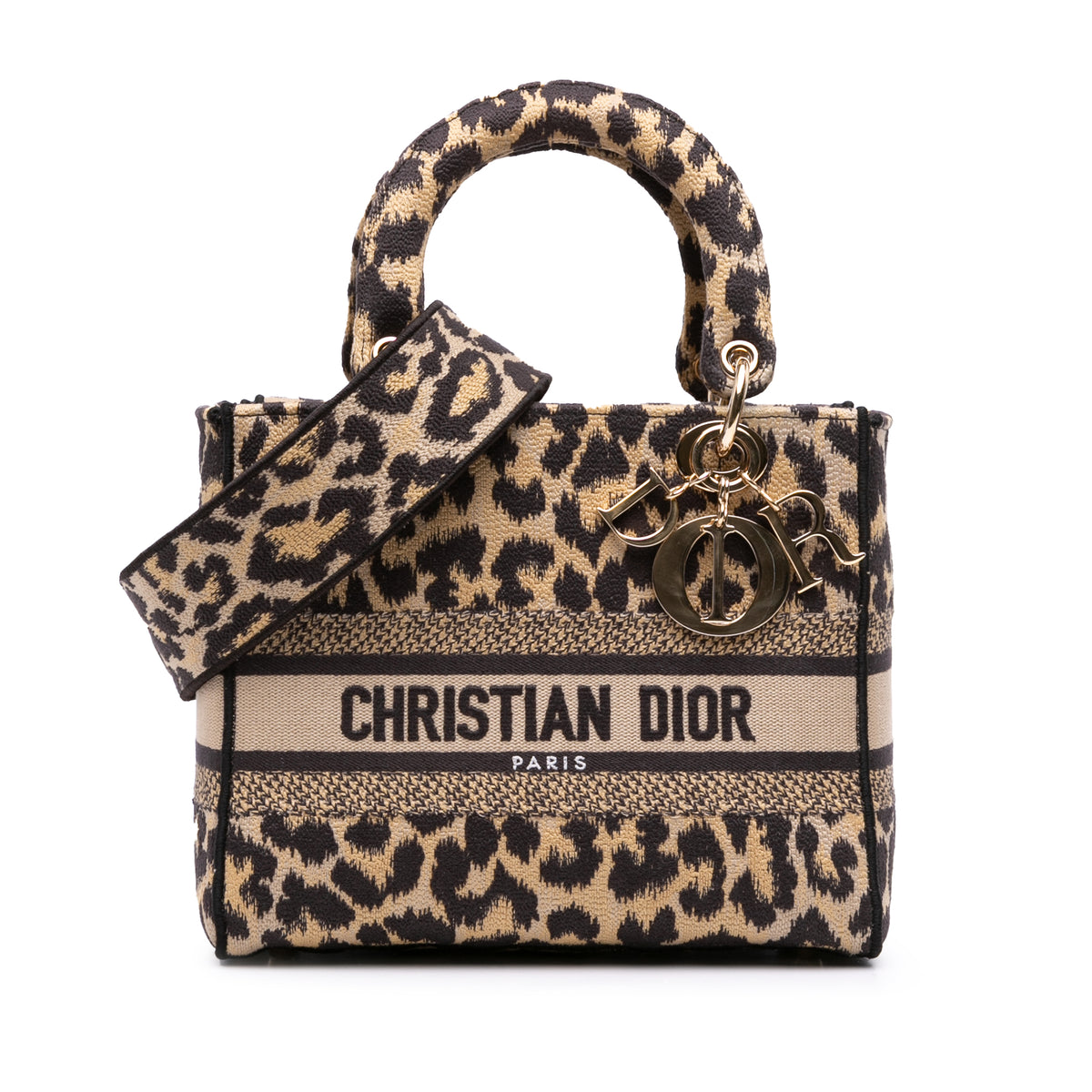 Mizza Medium Leopard Embroidered Canvas Lady D Lite