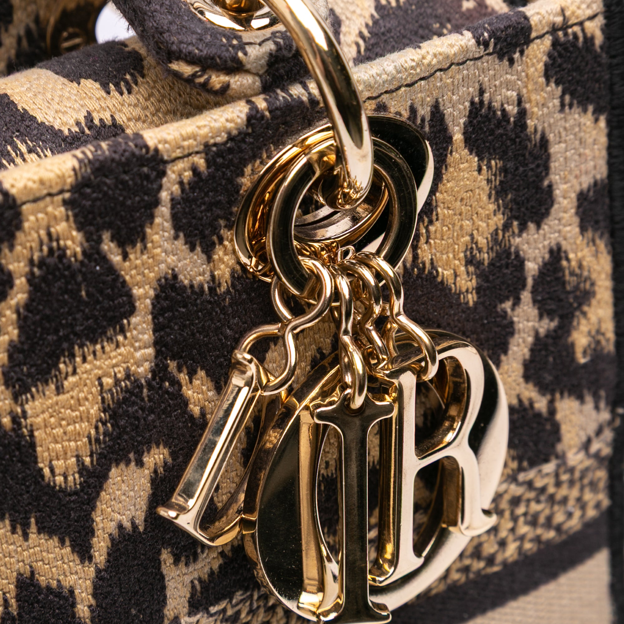 Mizza Medium Leopard Embroidered Canvas Lady D Lite