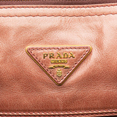 Vitello Shine Satchel
