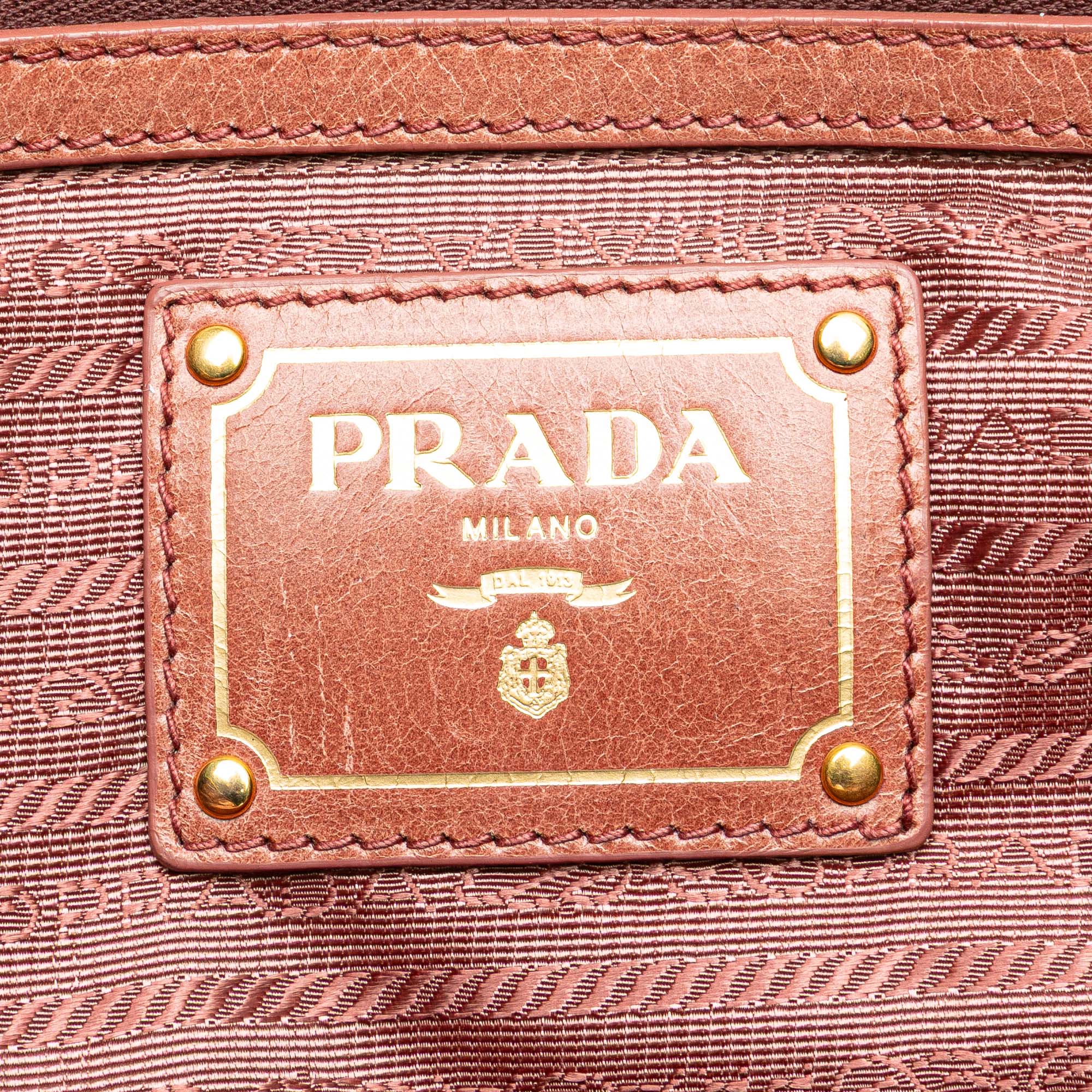 Vitello Shine Satchel