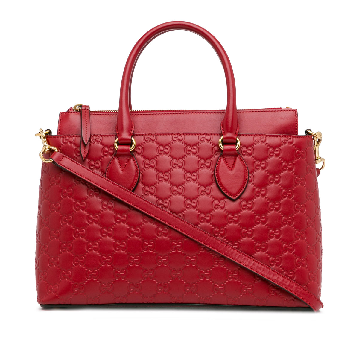 Guccissima Satchel_0