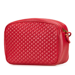 Quilted Lambskin Victoire Camera Bag