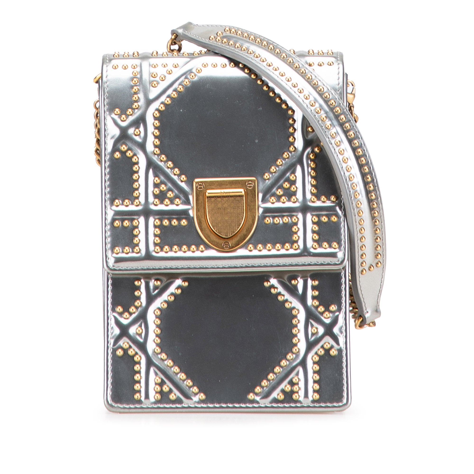 Metallic Studded Calfskin Vertical Diorama