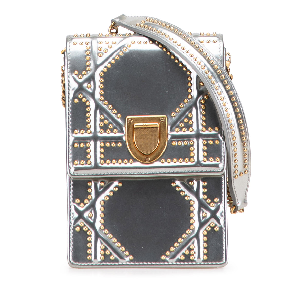 Metallic Studded Calfskin Vertical Diorama