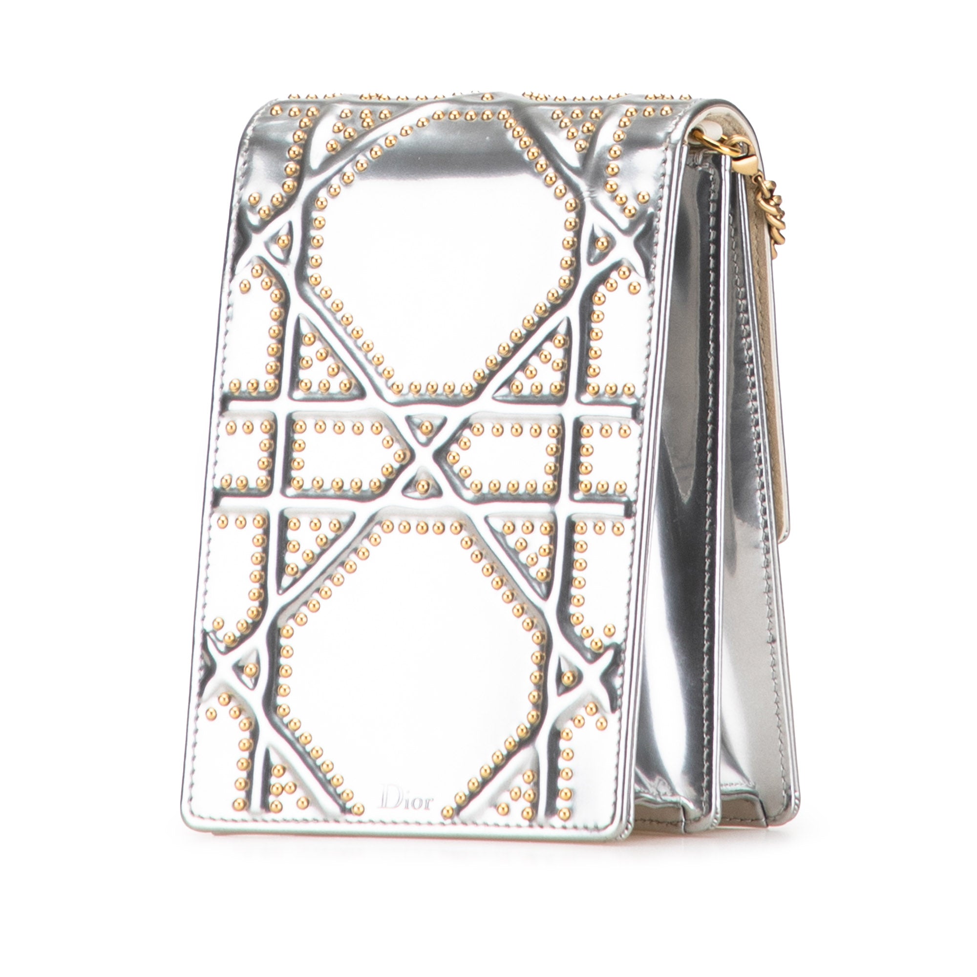 Metallic Studded Calfskin Vertical Diorama