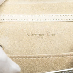 Metallic Studded Calfskin Vertical Diorama