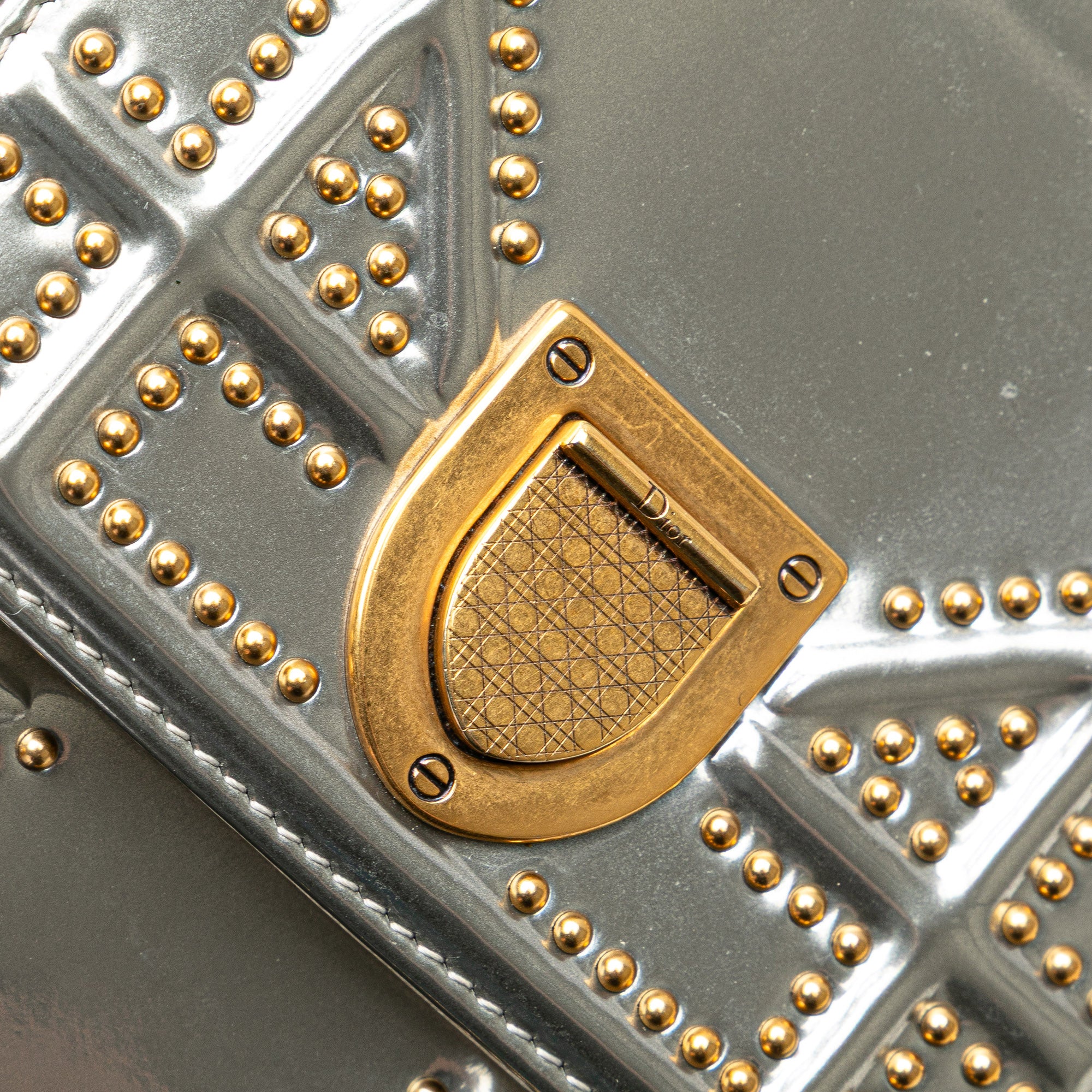 Metallic Studded Calfskin Vertical Diorama