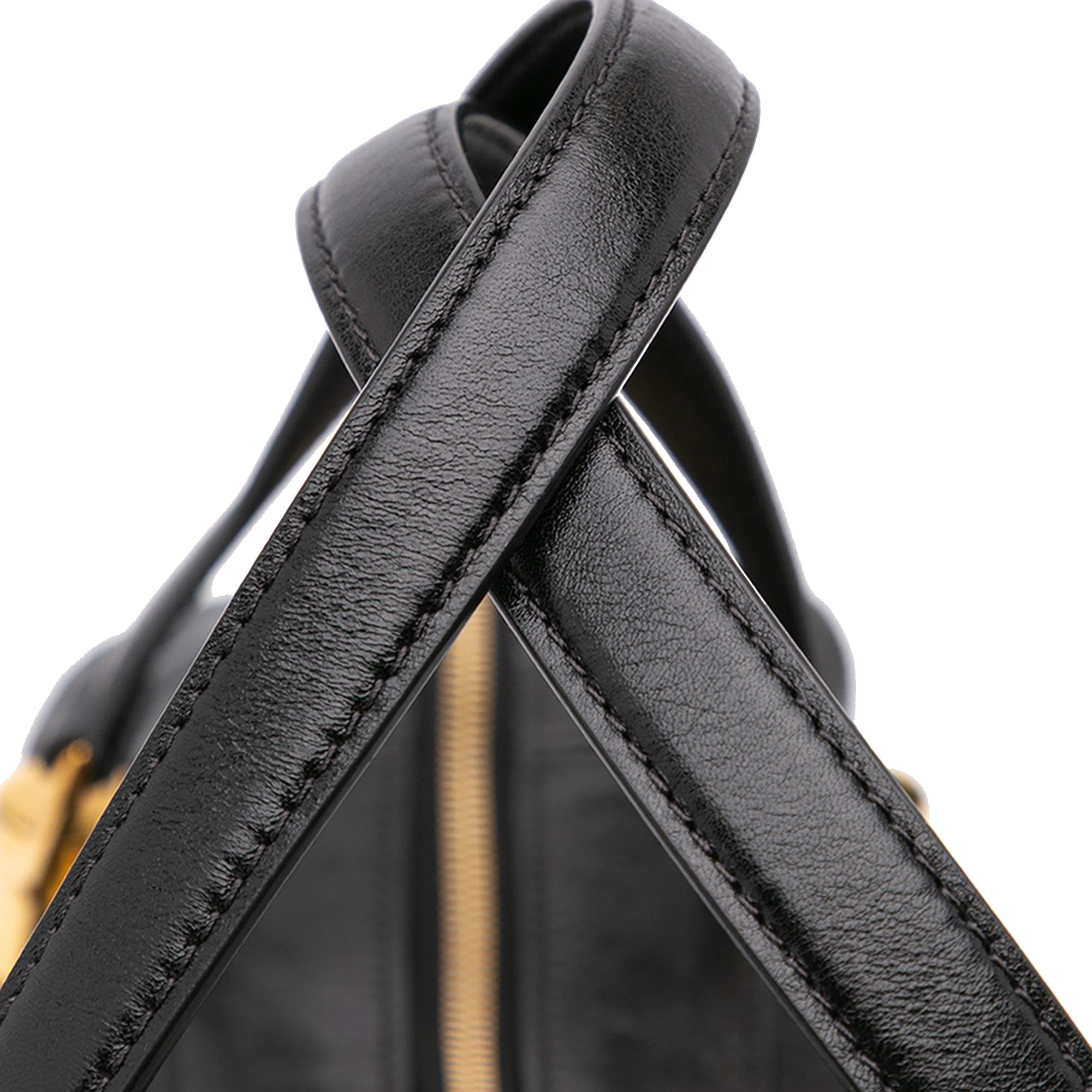 Shiny Calfskin Paraty 24 Satchel