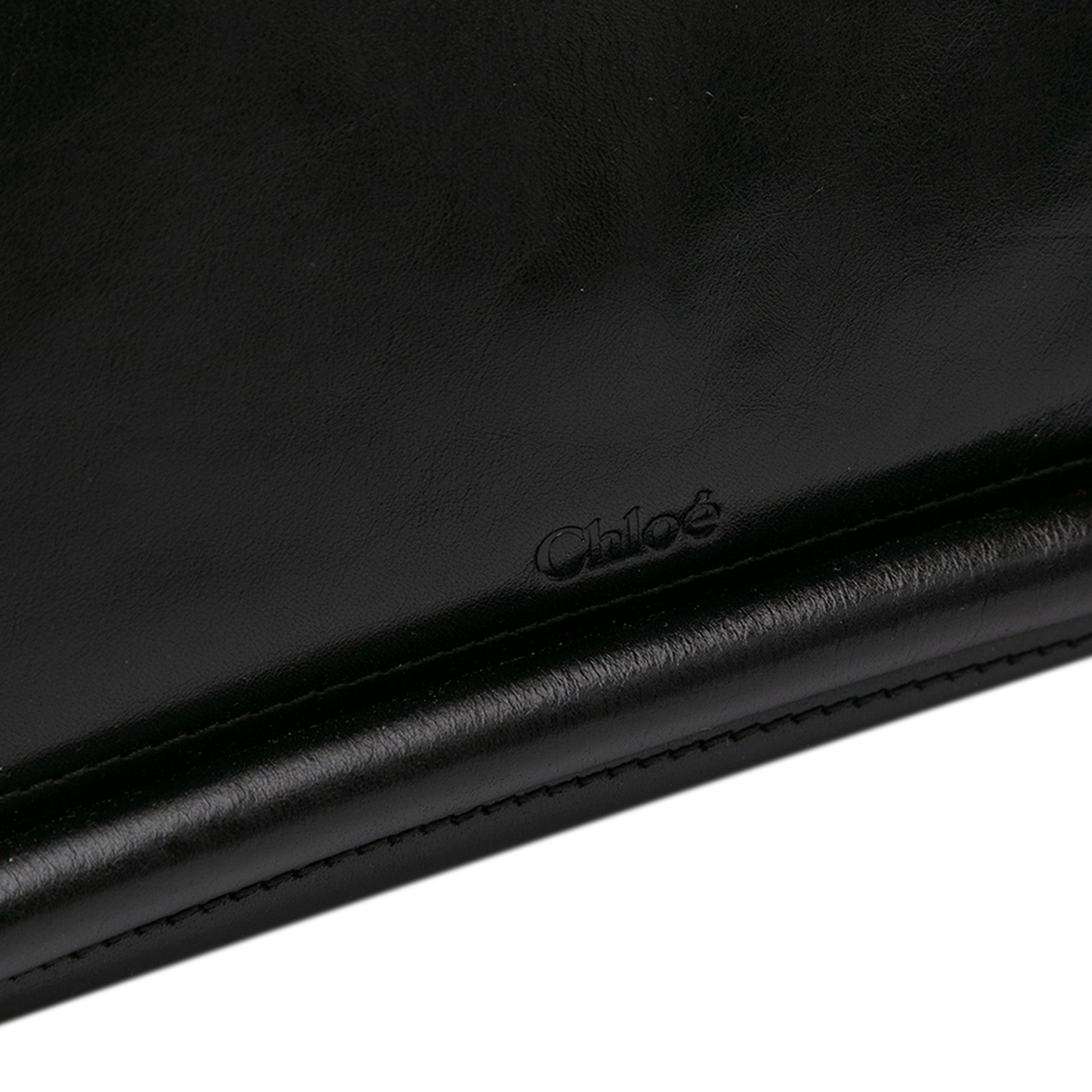 Shiny Calfskin Paraty 24 Satchel