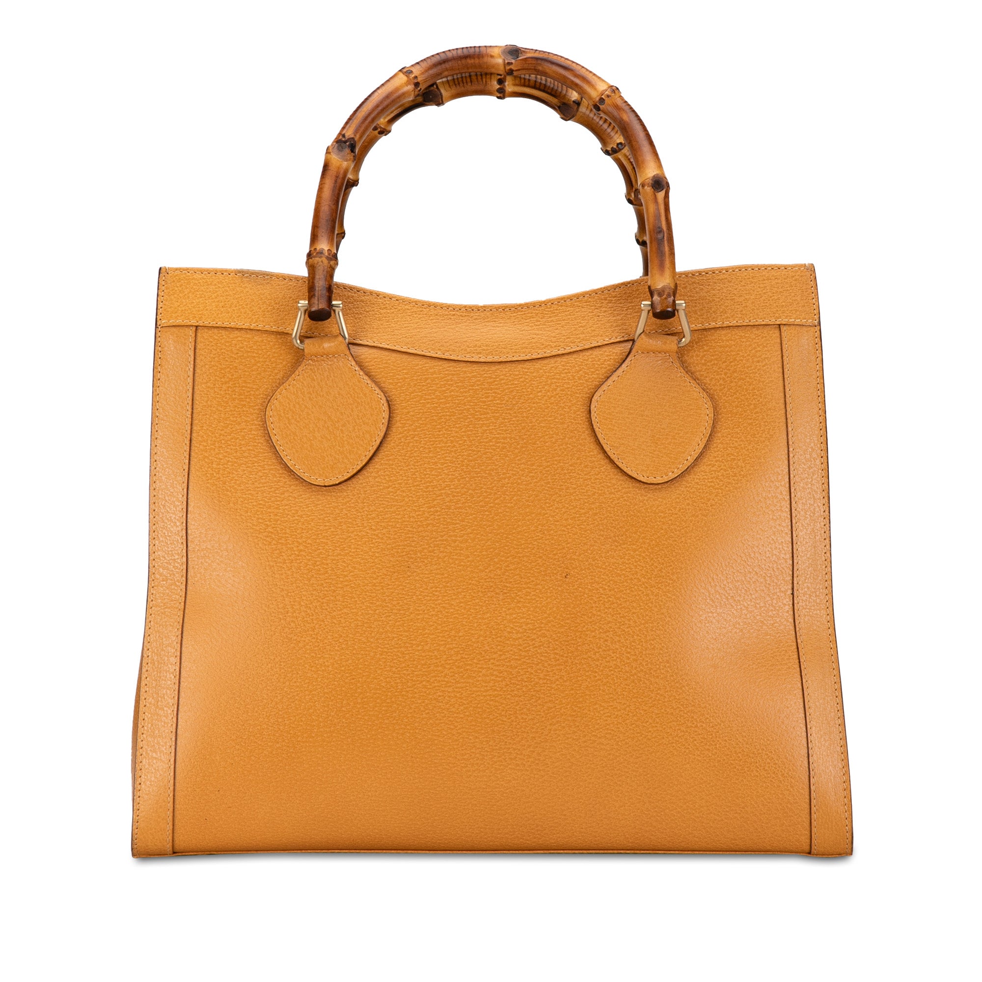 Medium Leather Bamboo Diana Tote_0