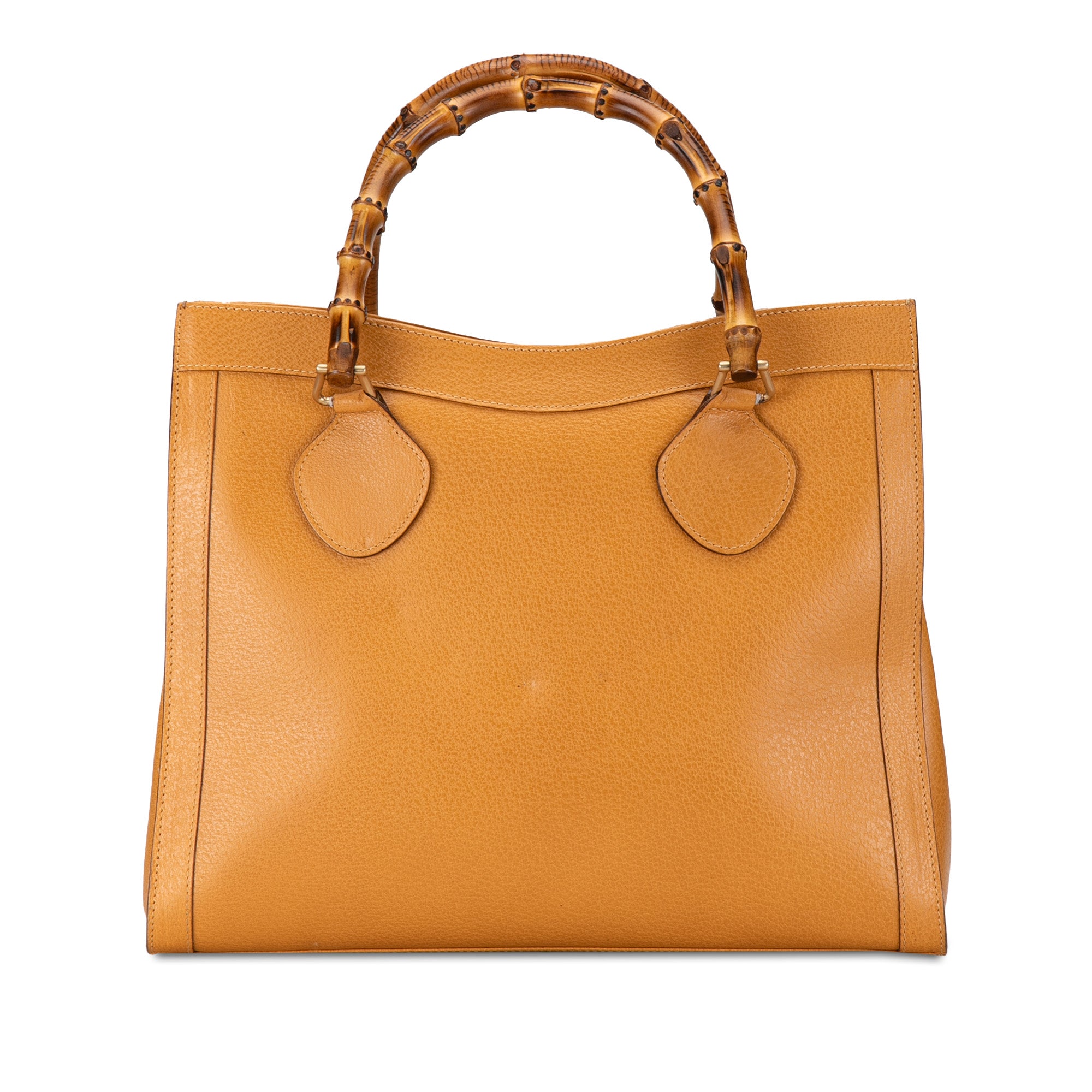 Medium Leather Bamboo Diana Tote_2